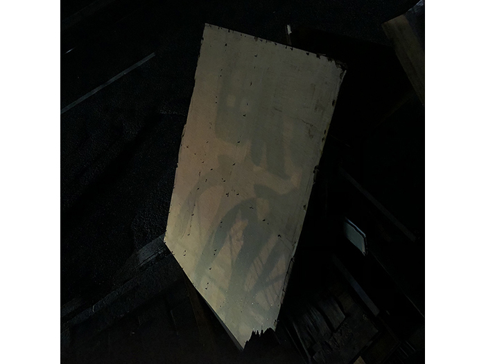 Ng Hon Lam Photography