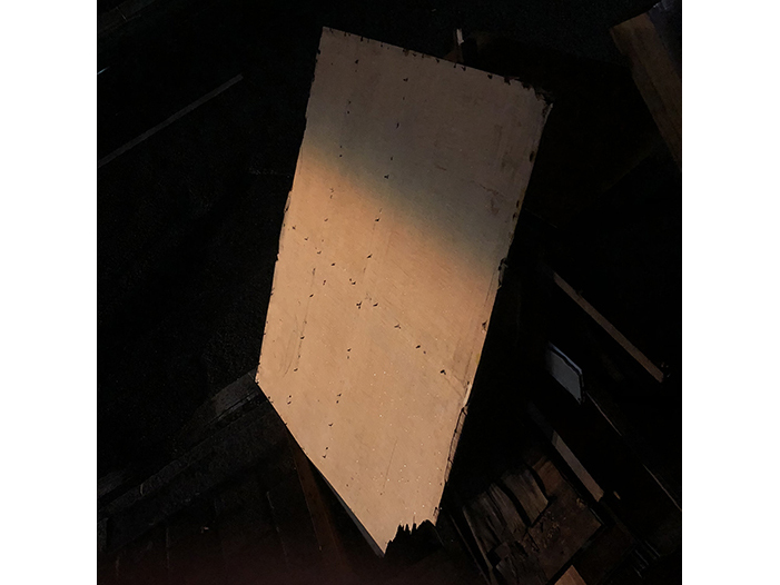 Ng Hon Lam Photography