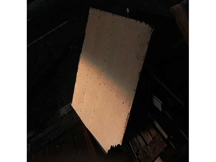 Ng Hon Lam Photography