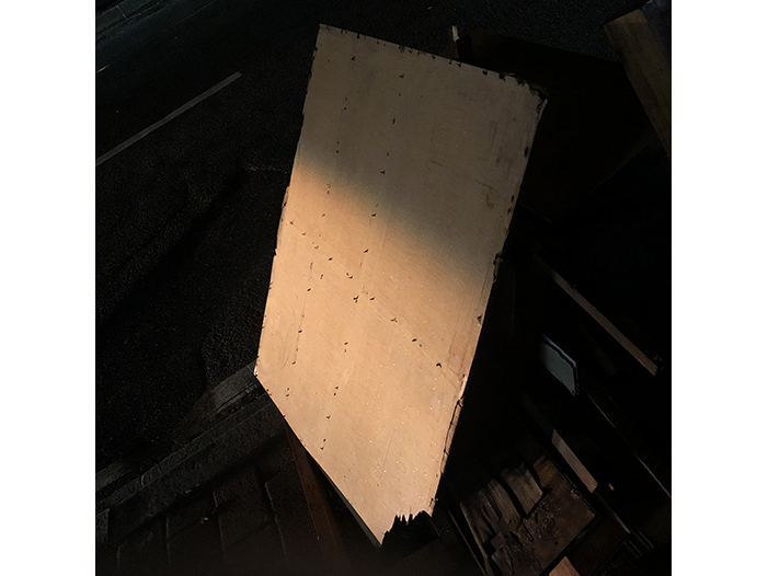 Ng Hon Lam Photography