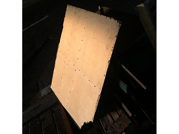 Ng Hon Lam Photography