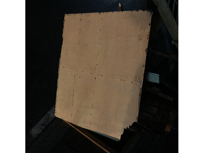 Ng Hon Lam Photography