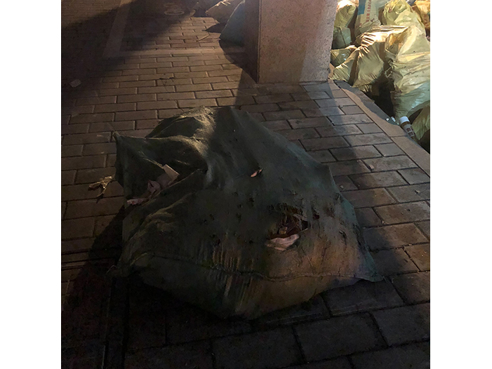 Ng Hon Lam Photography