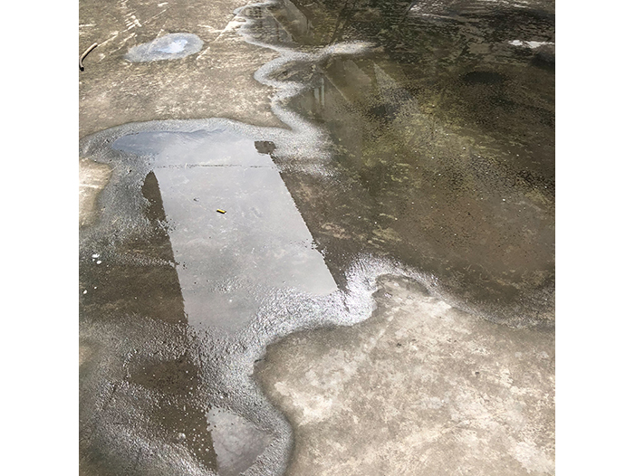 Ng Hon Lam Photography