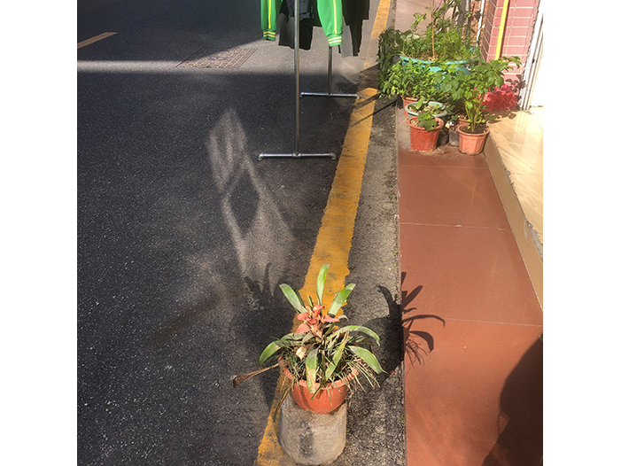 Ng Hon Lam Photography