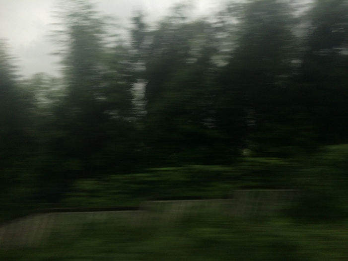 Ng Hon Lam Photography