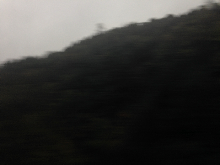 Ng Hon Lam Photography