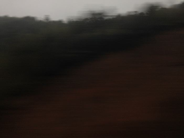 Ng Hon Lam Photography