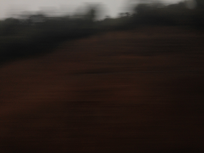 Ng Hon Lam Photography