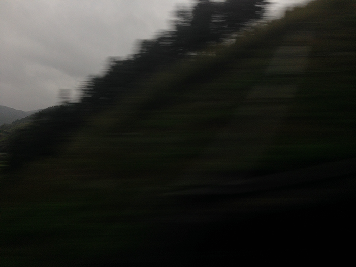 Ng Hon Lam Photography