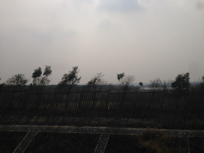 Ng Hon Lam Photography