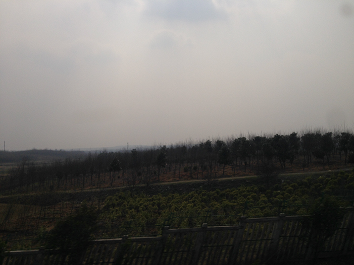 Ng Hon Lam Photography