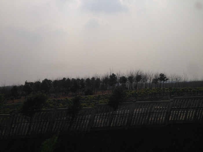 Ng Hon Lam Photography