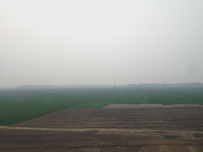 Ng Hon Lam Photography