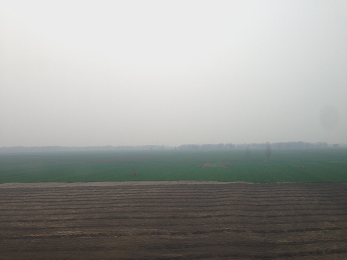 Ng Hon Lam Photography