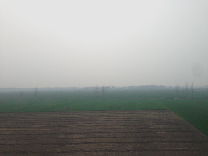 Ng Hon Lam Photography