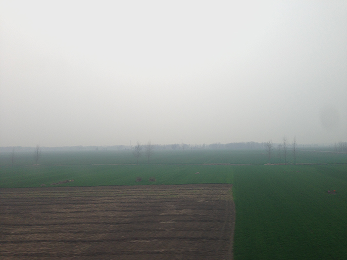 Ng Hon Lam Photography