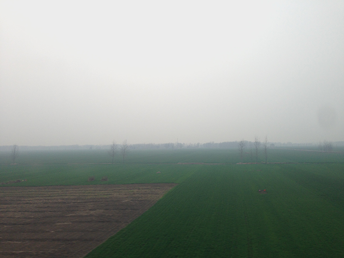 Ng Hon Lam Photography