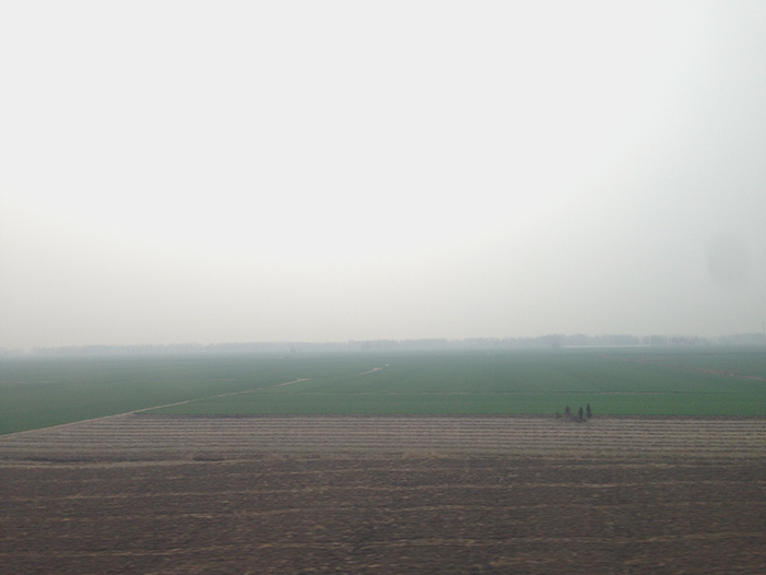 Ng Hon Lam Photography