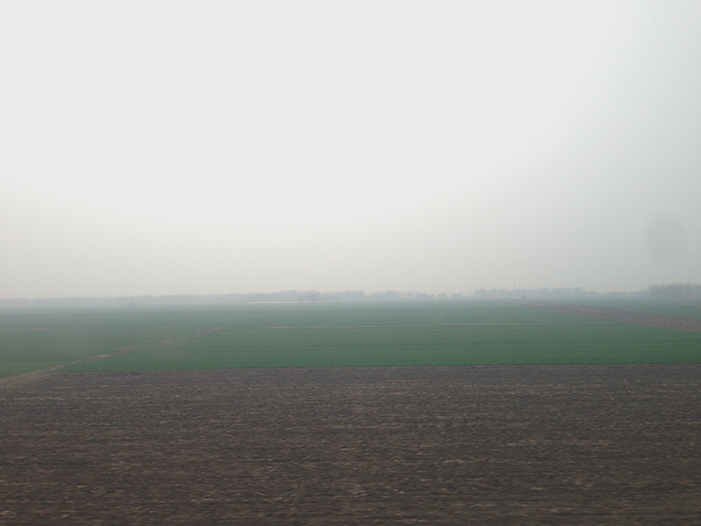 Ng Hon Lam Photography