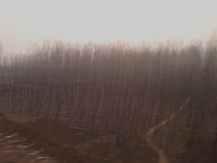 Ng Hon Lam Photography