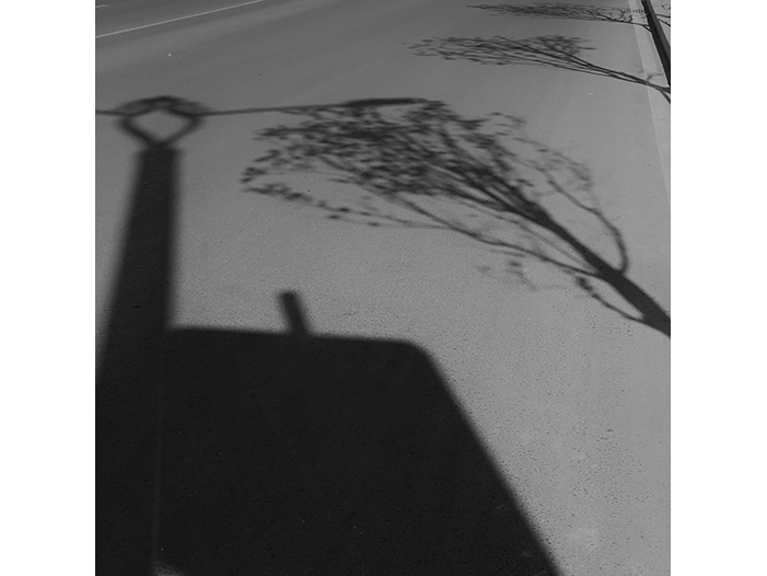 Ng Hon Lam Photography