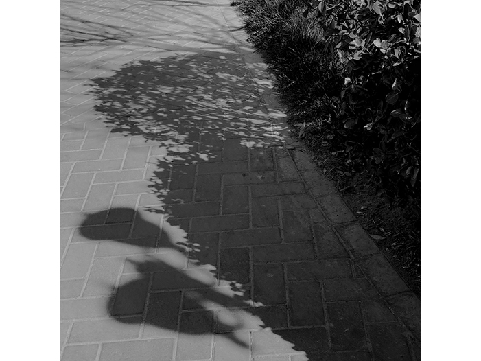 Ng Hon Lam Photography