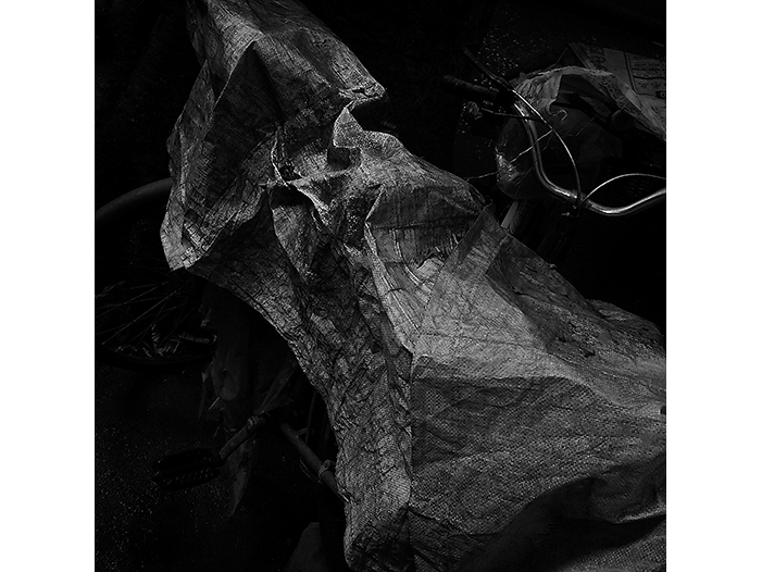 Ng Hon Lam Photography