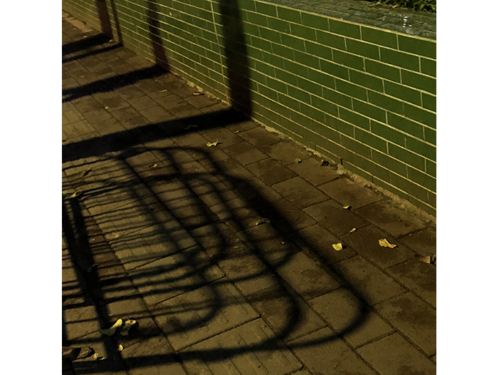 Ng Hon Lam Photography