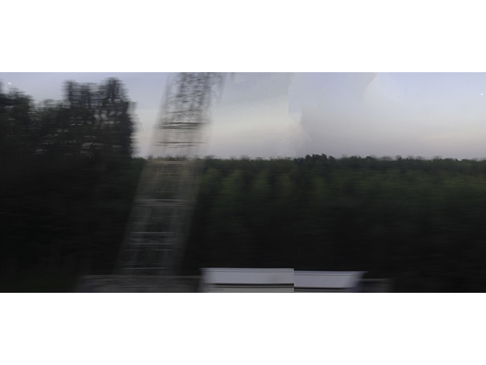 Ng Hon Lam Photography