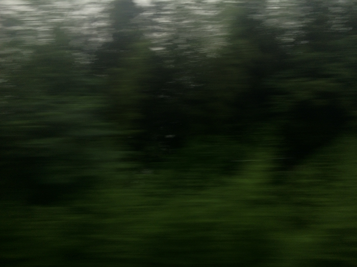 Ng Hon Lam Photography