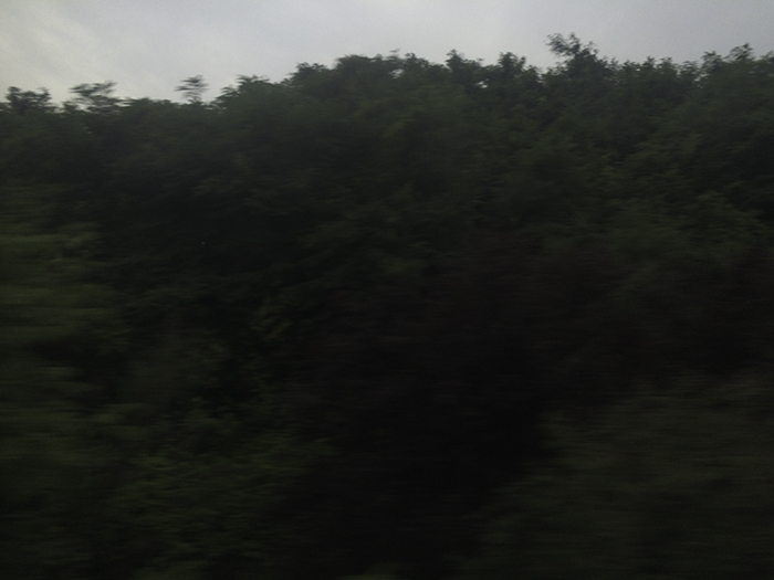 Ng Hon Lam Photography