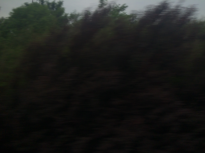 Ng Hon Lam Photography