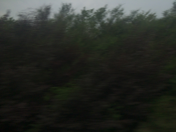 Ng Hon Lam Photography