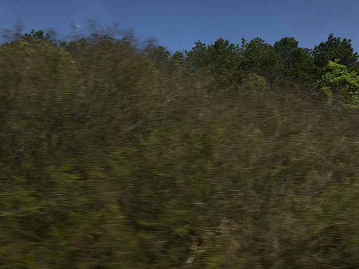 Ng Hon Lam Photography