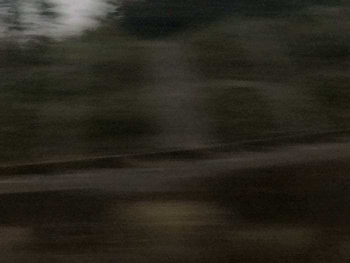 Ng Hon Lam Photography