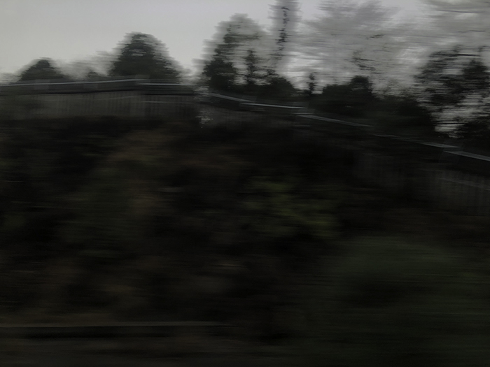 Ng Hon Lam Photography