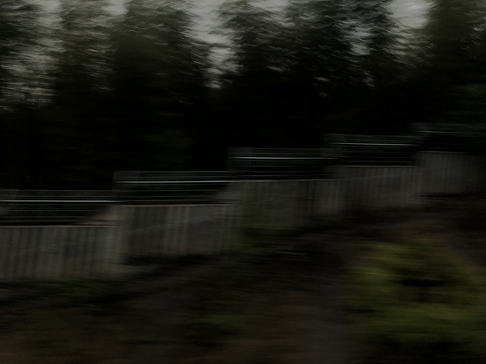 Ng Hon Lam Photography