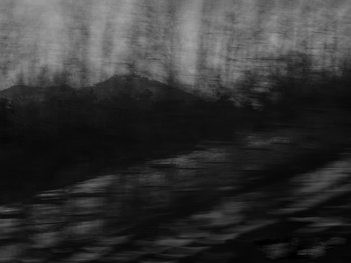 Ng Hon Lam Photography