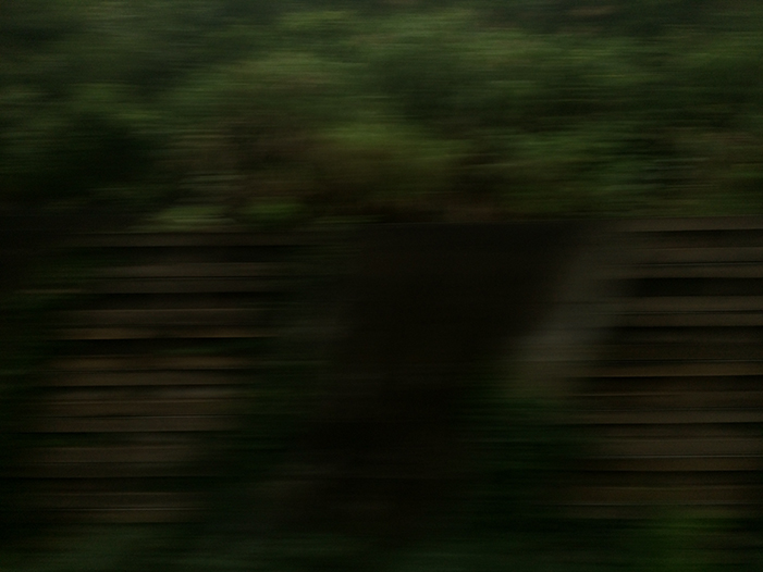 Ng Hon Lam Photography