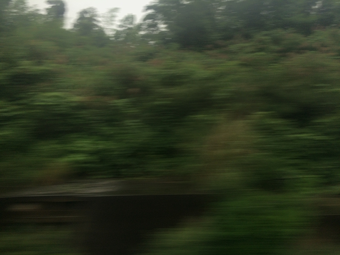 Ng Hon Lam Photography