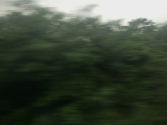 Ng Hon Lam Photography