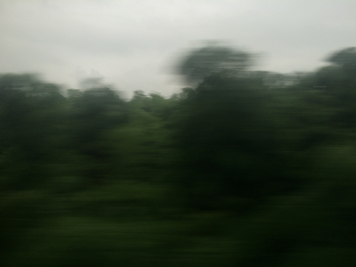 Ng Hon Lam Photography