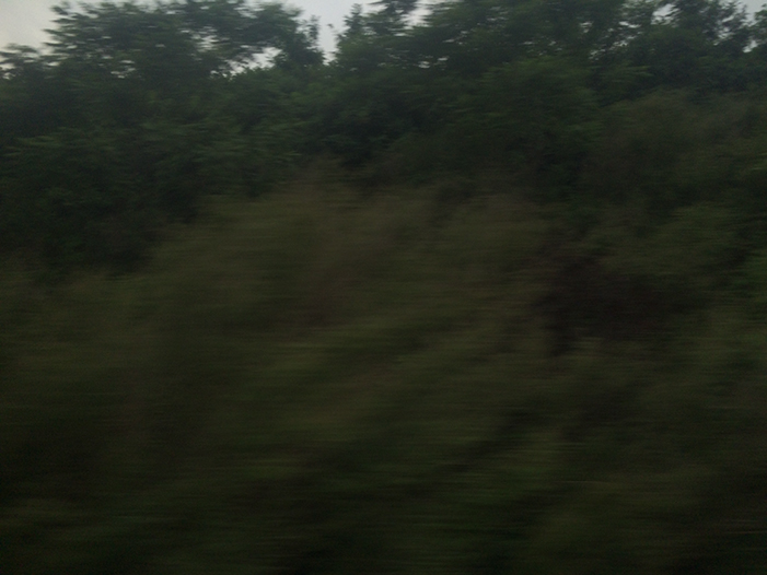 Ng Hon Lam Photography