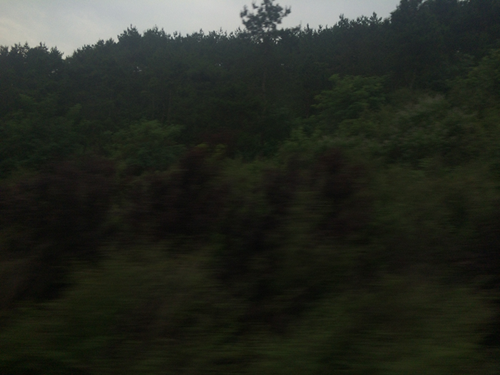 Ng Hon Lam Photography