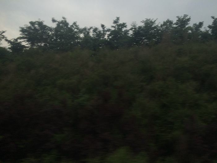 Ng Hon Lam Photography