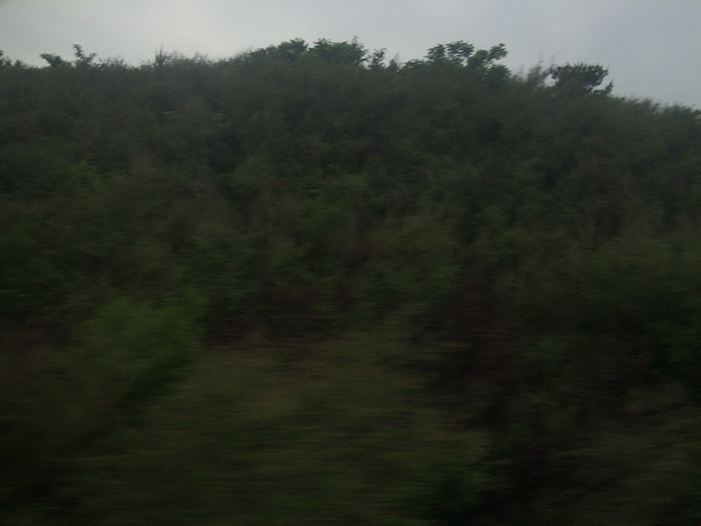 Ng Hon Lam Photography