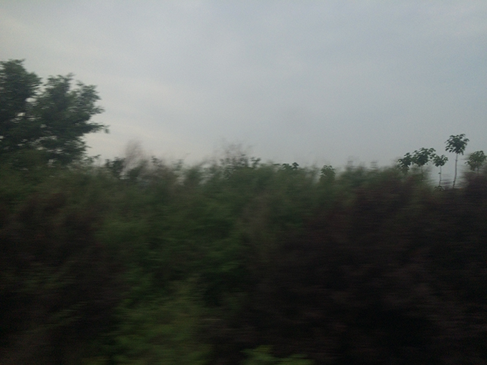 Ng Hon Lam Photography