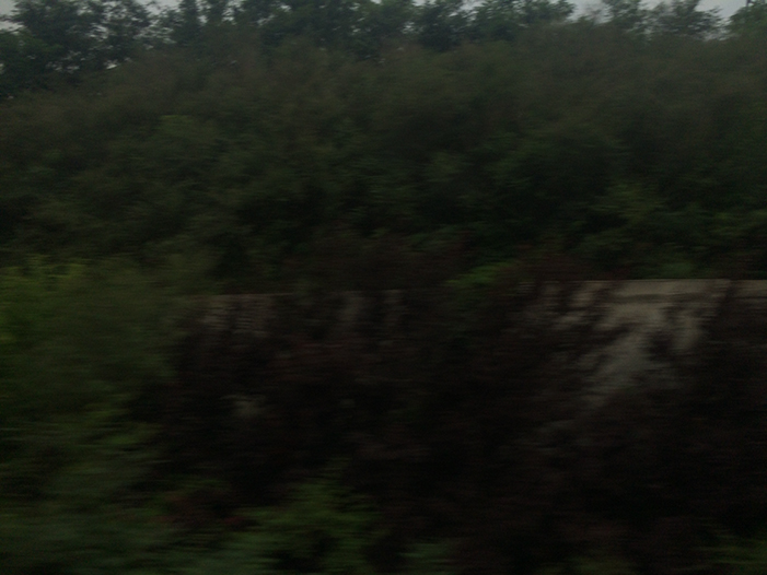 Ng Hon Lam Photography