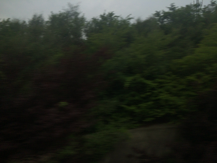 Ng Hon Lam Photography